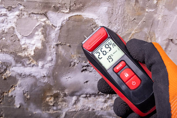 Best Water Damage Restoration  in Glenn Dale, MD