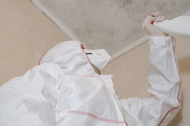 Trusted Glenn Dale, MD Mold Removal Experts